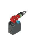 Pizzato FL 1884-M2-EX8 Rope safety switch with reset for emergency stop, ATEX II 2D Ex tb IIIC T80°C Db Ta: -20/+70°C