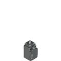Pizzato FK 3301-XM1 Position switch with plunger
