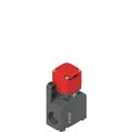 Pizzato FW 2092-XM2 Safety switch with separate actuator