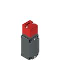 Pizzato FD 593-M2 Safety switch with separate actuator