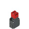 Pizzato FL 593-M2 Safety switch with separate actuator