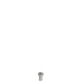 Pizzato VF VAM5X10BW-X Stainless steel security screws