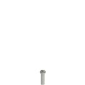 Pizzato VF VAM5X20BW-X Stainless steel security screws
