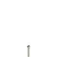 Pizzato VF VAM5X25BX-X Stainless steel security screws