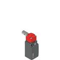 Pizzato FR 596-M2 Safety switch for hinged doors