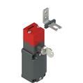 Pizzato FD 2999-F1M2 Safety switch with lock and separate actuator