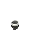 Pizzato E2 1PL2R0290 Illuminated flush pushbutton, without lens