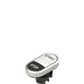 Pizzato E2 1PDRL9AAAN Double lower flush pushbutton, with marking