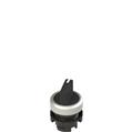 Pizzato E2 1SE12ECA19AB Short handle selector, 2 positions black with marking