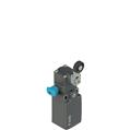 Pizzato FR 2031-W3M2 Position switch with roller lever and reset device