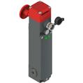 Pizzato FG 60BD6D0A-V70V90 Safety switch for lift door locking