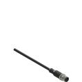 Pizzato VF CF5PD3M M12 male connectors with cable, 5 poles