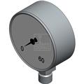 Dopag 28.10.007 Pressure gauge 0-60 bar stainless