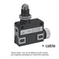 Azbil SL1-AC Compact Horizontal Limit Switch (Rugged)