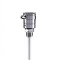 Rechner Sensors KFS-1-580-470-PTFE/VA-1″-StEx, ATEX Capacitive Level Measurement Systems (KFI / KFS / KFA / KFX)