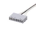 IFM BasicCable/A,B,C//C2.x Connection cable with contact housing