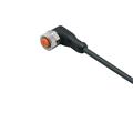 IFM ADOAH043MSS0025H04 Connecting cable with socket