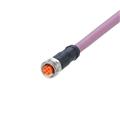 IFM ADOGH050MSD0002C05 Connecting cable with socket