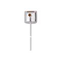 IFM TD-300CFED06-A-ZVG/US Temperature transmitter with display