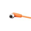 IFM ADOAH040VAS0060E04 Connecting cable with socket