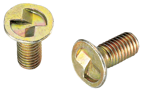 Schmersal TAMPERPROOF SCREWS M 5 x 12 Turkiye