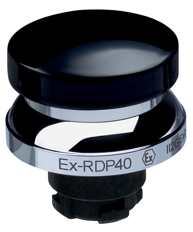 Schmersal EX-RDP40SW Turkiye