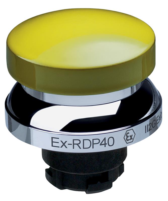 Schmersal EX-RDP40GB Turkiye