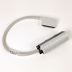 Allen Bradley 1492-CONCAB010S2 Pre-wired Cable for Conversion from 1771 to 1756 Analog I/O Modules 10 meter (328 feet) Turkiye