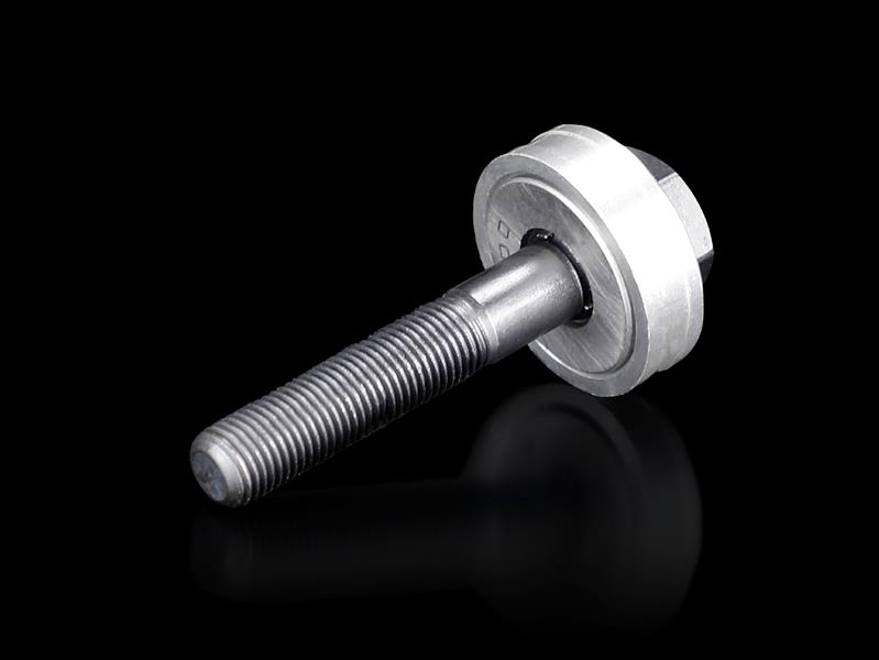 Rittal AS 4055.631 Tension screw with ball bearing Ø x L 9,5 x 50 mm Turkiye