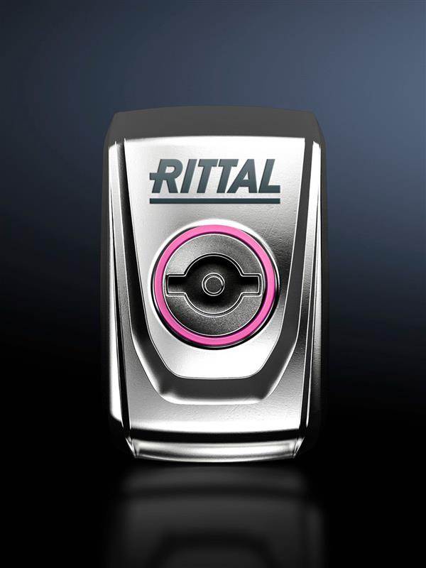 Rittal SZ 2309.110 SZ mandallı kilit, KX E-Box için, paslanmaz çelik 14404, double-bit göbekli Turkiye