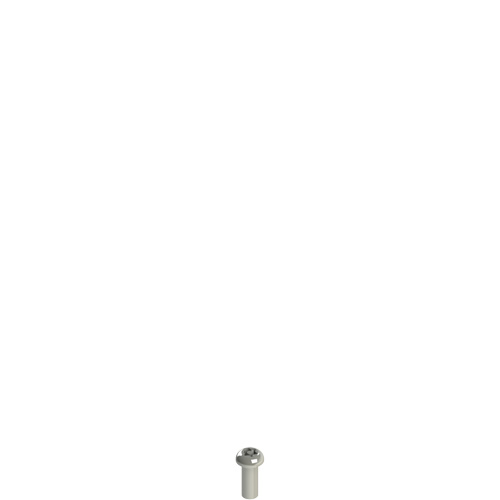 Pizzato VF VAM4X10BX-X Stainless steel security screws Turkiye