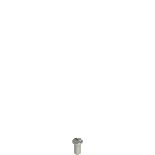Pizzato VF VAM5X10BW-X Stainless steel security screws Turkiye