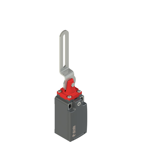 Pizzato FR 5C2-M2 Safety switch with slotted hole lever Turkiye