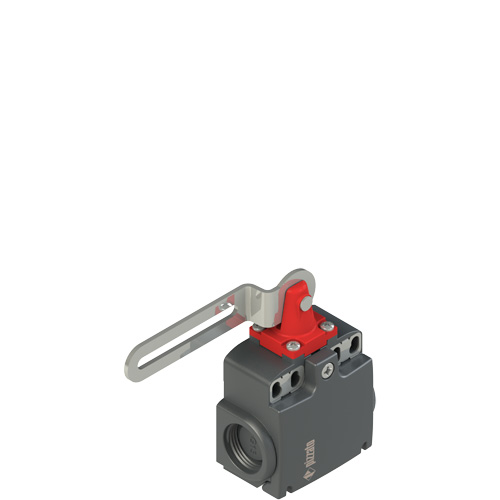 Pizzato FX 5C3-M2 Safety switch with slotted hole lever Turkiye