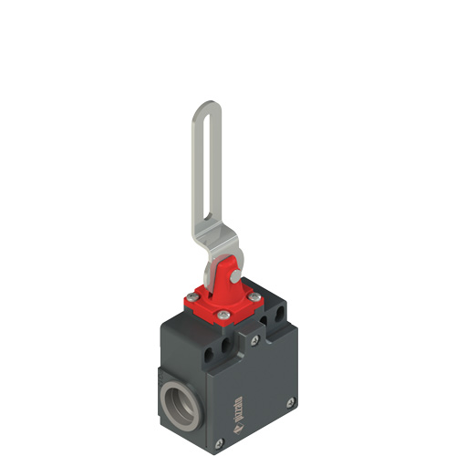 Pizzato FZ 5C2-M2 Safety switch with slotted hole lever Turkiye
