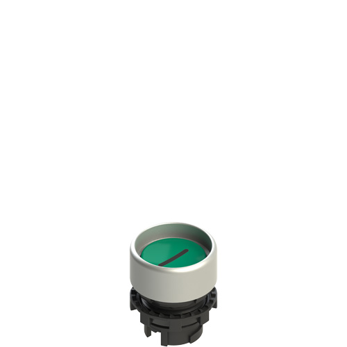 Pizzato E2 1PL2P429L2 Illuminated green booted pushbutton with marking Turkiye