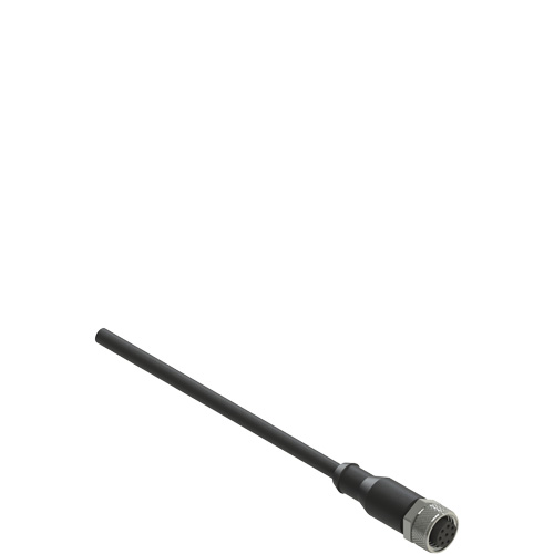 Pizzato VF CA8PD10M M12 female wired connector: straight, 8 poles, 10 m cable Turkiye