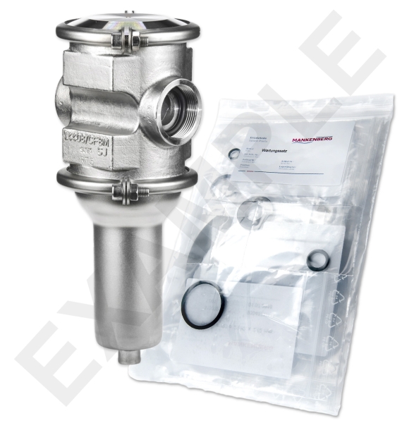 Mankenberg 6655146TA-3 WS Maintenance Kit for DM 555 | DN 50 (2“) | Art No 6655146TA-3 Turkiye