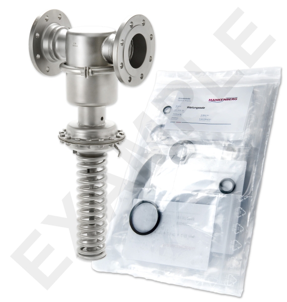 Mankenberg 6590206TA-2   WS Maintenance Kit WS/DM664-100-FA02-16-D031-50-V1-EE-E77 | Turkiye