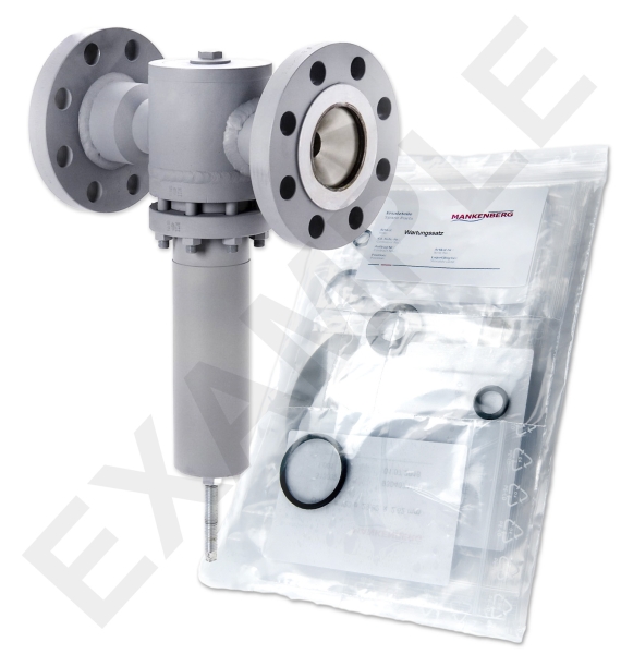 Mankenberg 6621403SA-2   WS Maintenance Kit WS/DM620-80-FA06-100-D083-10-ST-YE-E29-E71 | Turkiye