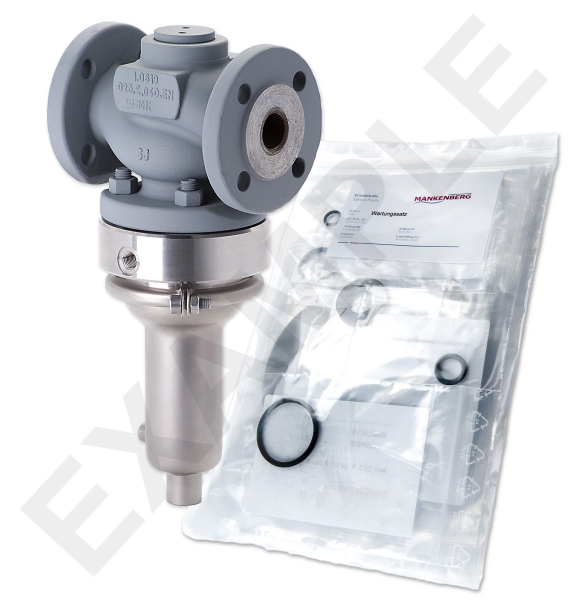 Mankenberg 66180198A-11  WS Maintenance Kit WS/DM618-40-FA13-40-D060-32-CS-FU-N | Turkiye