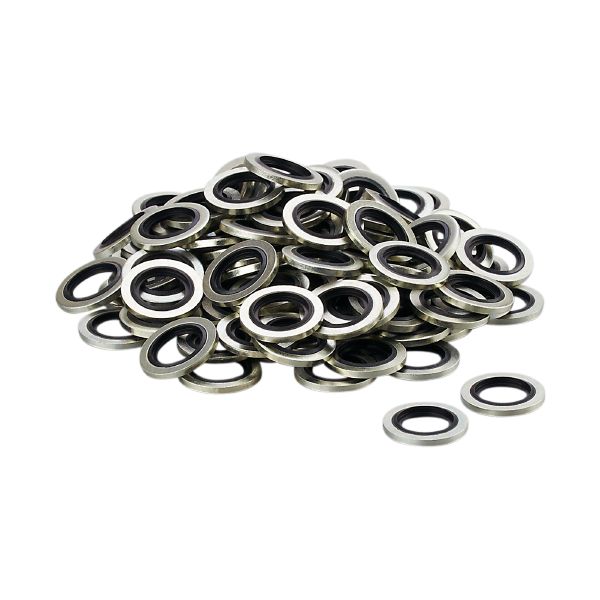 IFM HYDRAULIC-SEALING RG 100P G1/4 Conta Turkiye