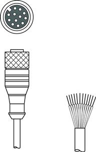 Leuze KD U-M12-CA-P1-100 Bağlantı kablosu