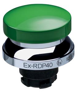 Schmersal EX-RDP40GN Turkiye