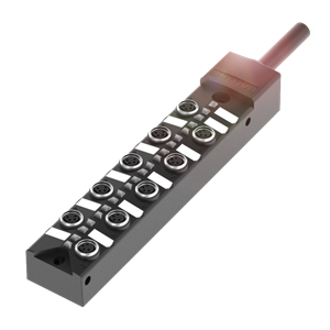 Balluff BPI AM3040-5K-B0-KPXP0-100 Bağlantı blokları