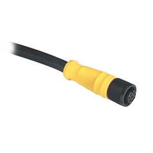 Allen Bradley 889D-F8NBDM-30 DC Micro Cable