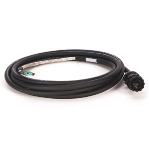 Allen Bradley 2090-CPWM6DF-16AA03 Cable