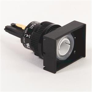 Allen Bradley 800B-EAC 800B Maintained Push Button - Rectangular Bezel Turkiye