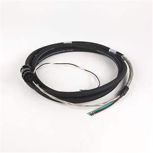 Allen Bradley 2090-CFBM6DD-CCAA01 Cable Turkiye