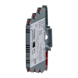 Cabur XCONTA819P Temperature converter Turkiye